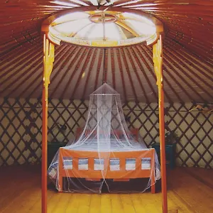 Tulpa Cádiz Camping